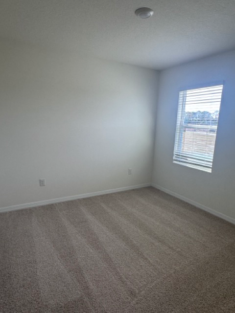 Building Photo - 2309 Hidden Palm Dr