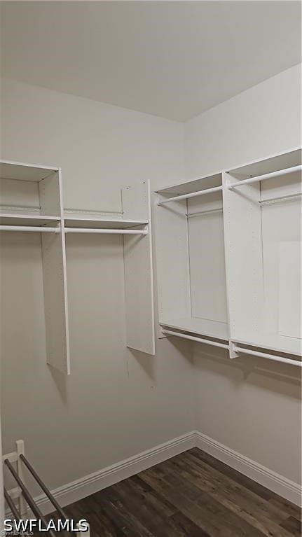 Building Photo - 2305 Ariane Dr