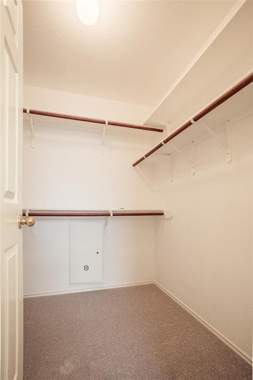 Building Photo - 11012 Los Comancheros Rd