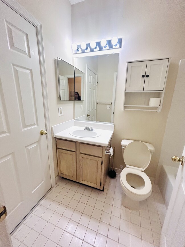 Guest Bathroom - 14317 Climbing Rose Way