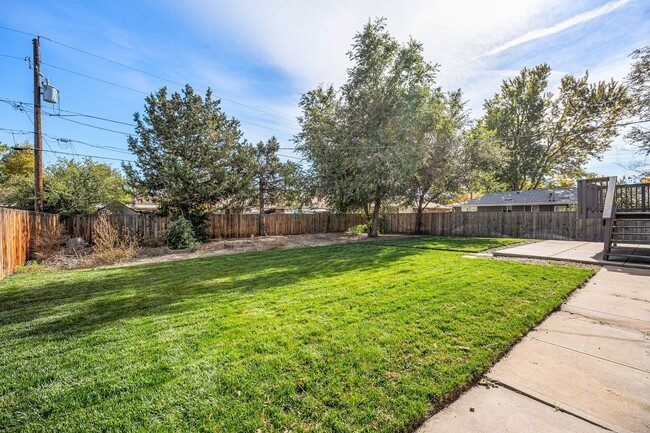 Building Photo - 4BD/2BA in Wheat Ridge!