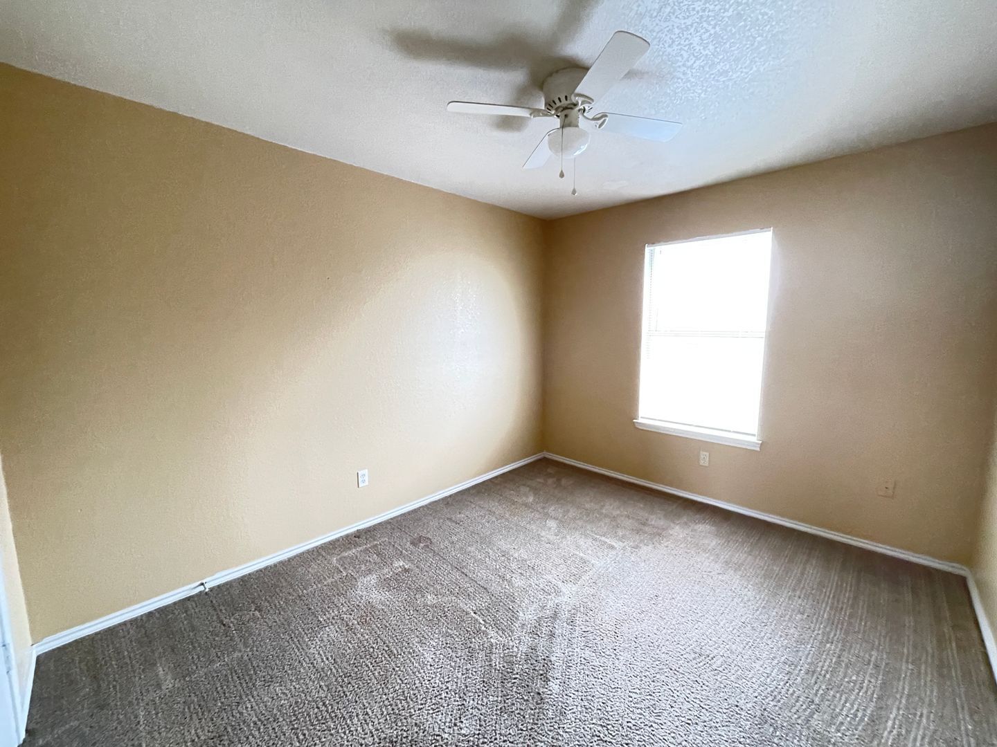 Building Photo - 1603 Cedarhill Dr