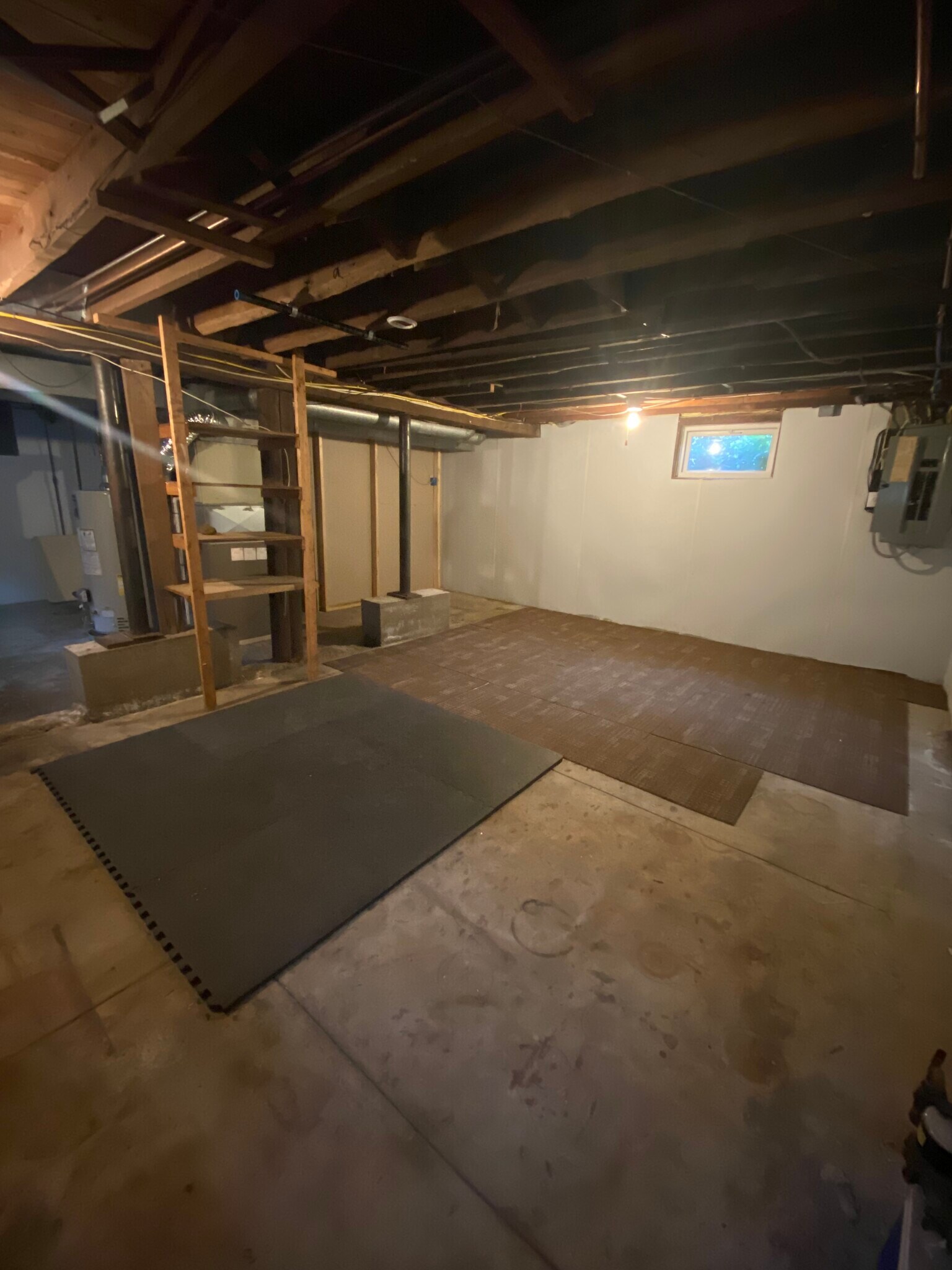 Basement Storage Area - 221 Dickinson Rd
