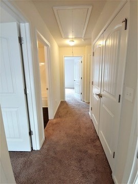 Building Photo - 3278 Garden Glade Ln