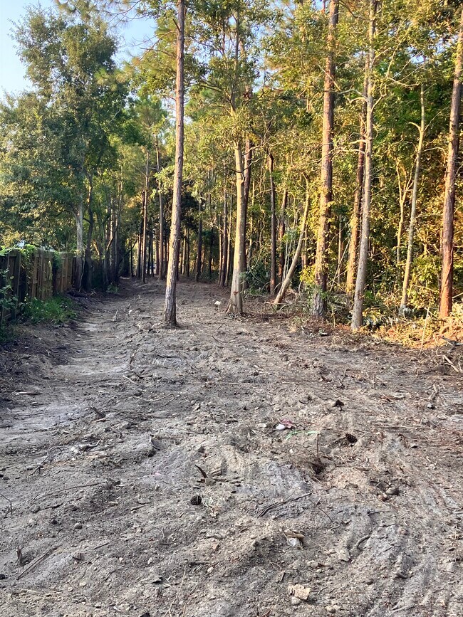 Building Photo - 164 Golden Meadow Dr