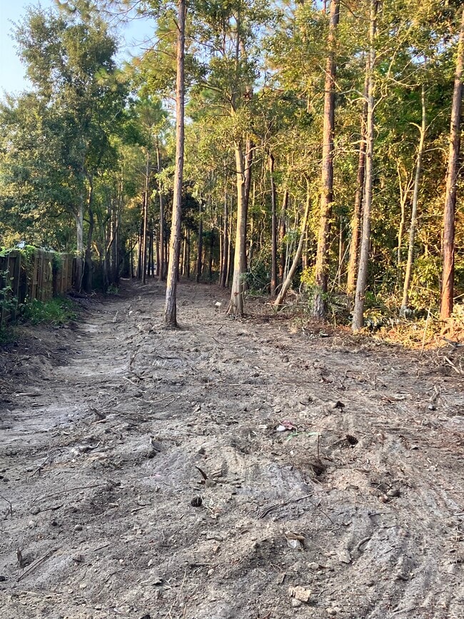 Building Photo - 212 Francis St