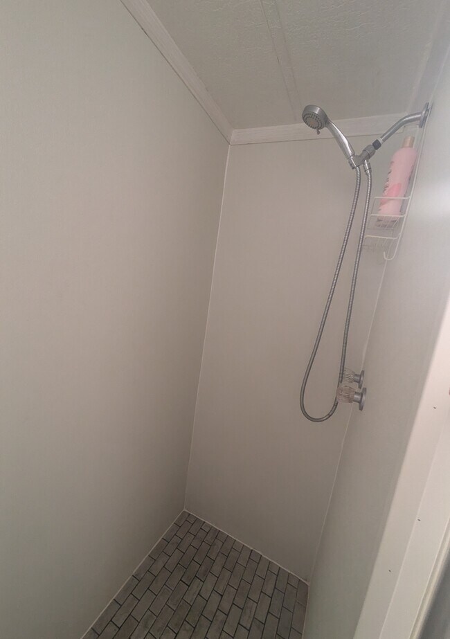 Big Shower - 9838 Lake Dr