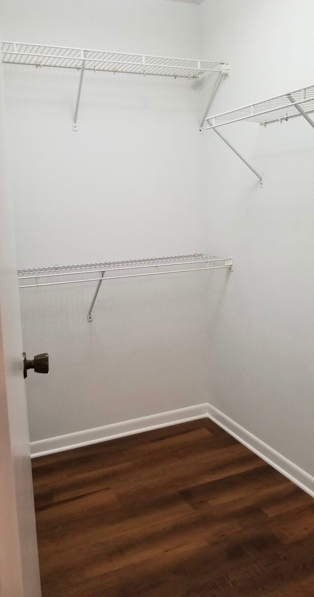 Primary walk-in closet - 10548 86th Ave