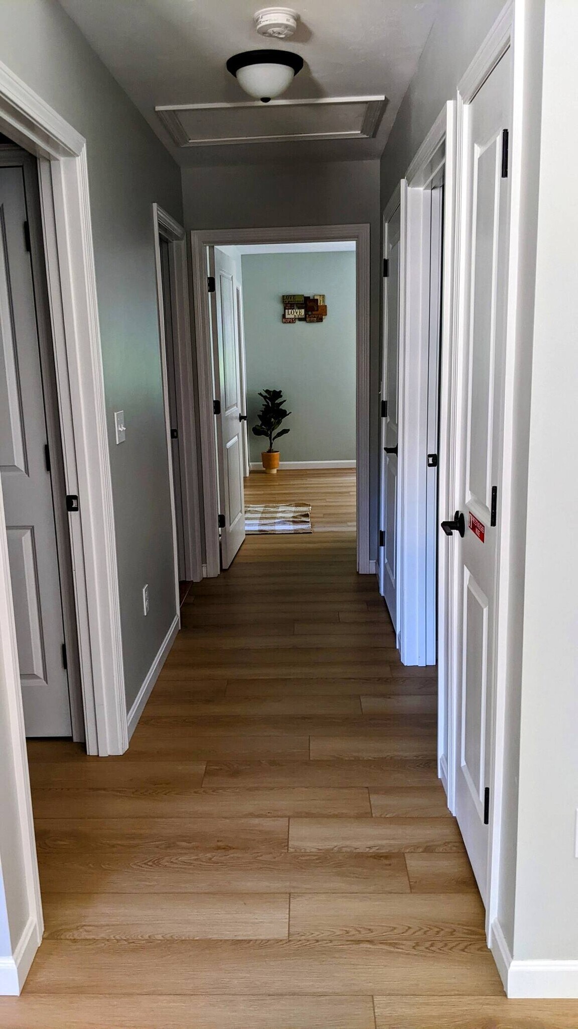 Building Photo - 307 Union St