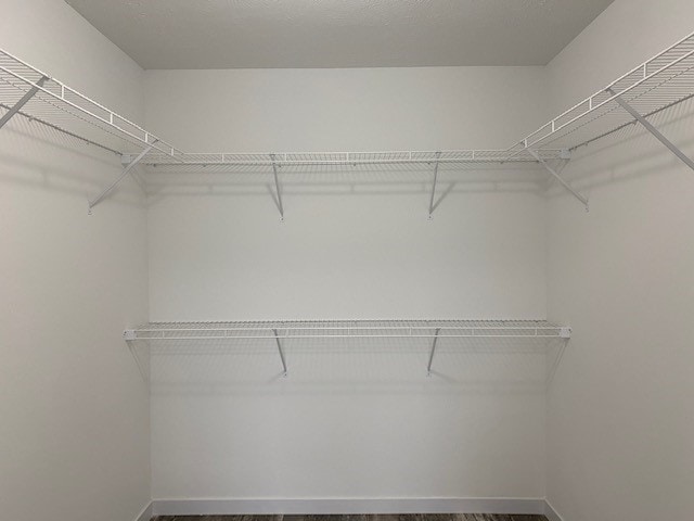 Building Photo - 1126 Stoneridge Ct