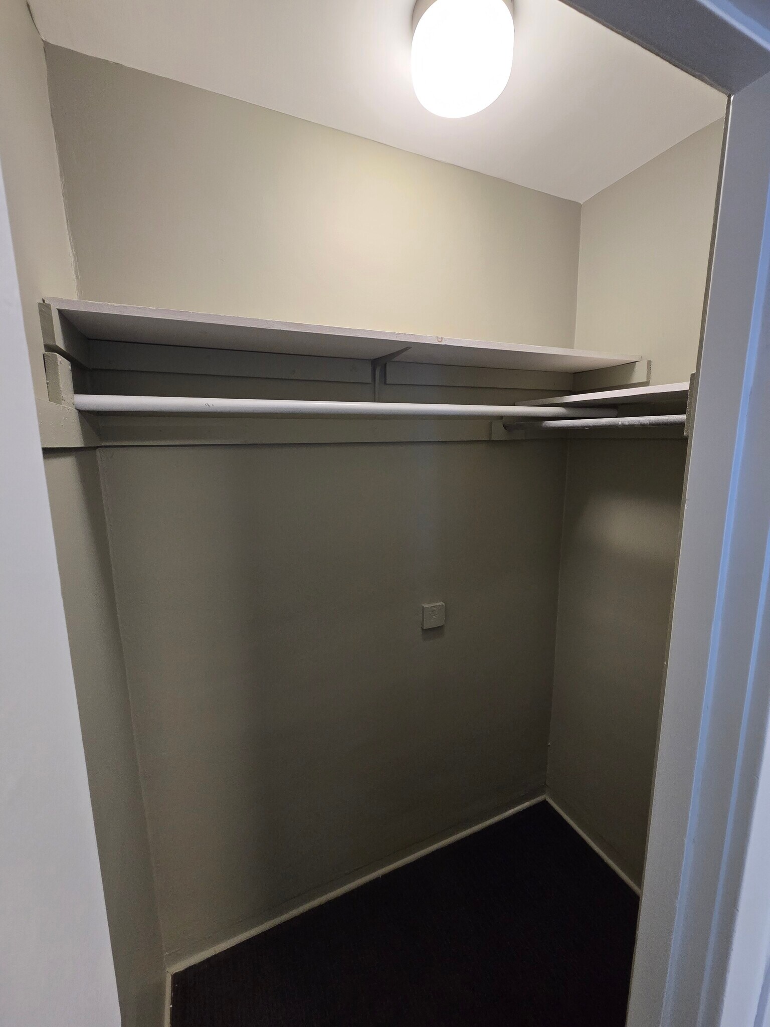 main bed closet - 1019 Widdicomb Ave NW