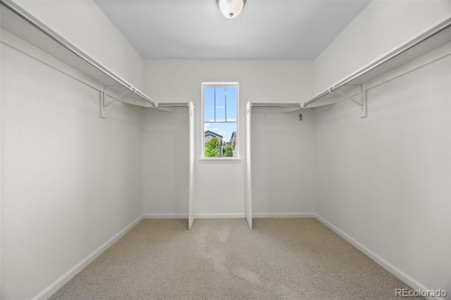 Building Photo - 984 McMurdo Cir