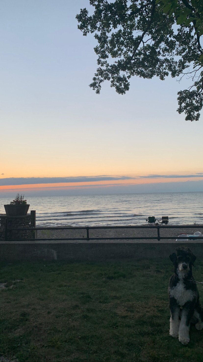 Building Photo - 450 Lake Shore Dr W