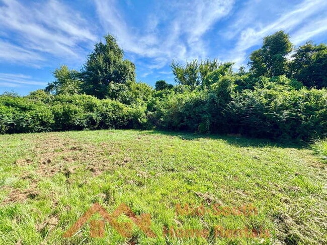 Building Photo - 5168 Corkwood Dr