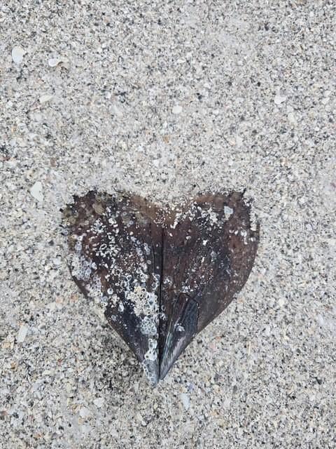 Building Photo - 403 63rd St