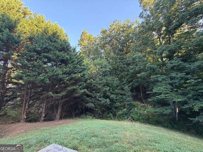 Building Photo - 1105 Trumpet Vine Ct SE