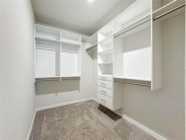 Building Photo - 7329 Boggy Crk Pl