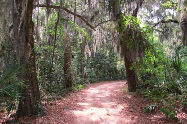 Building Photo - 7362 Misty Meadow Ct