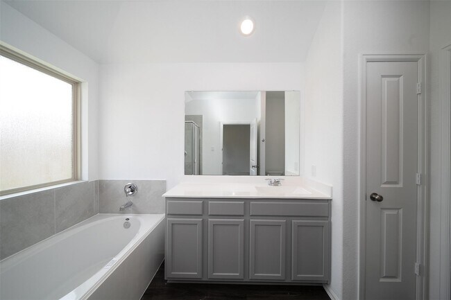 Building Photo - 18430 Cobalt Cove Ln