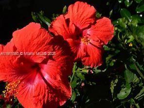 Building Photo - 1815 Mooringline Dr