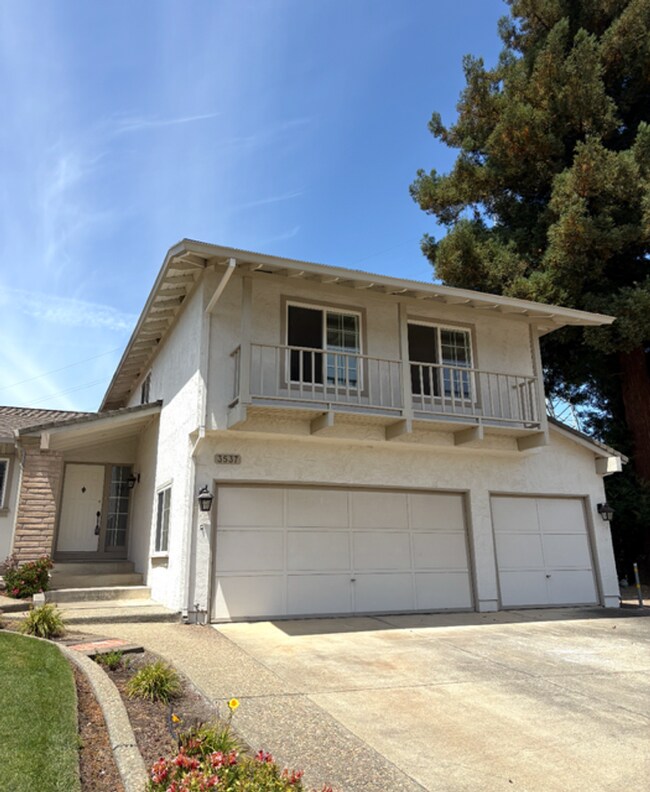 Building Photo - 3537 Augusta Ct