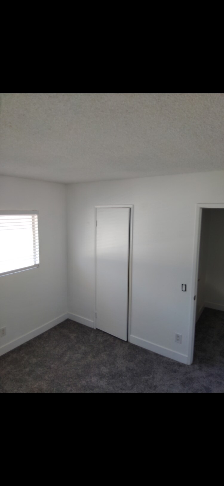Building Photo - 1501 E Fairfield Ct