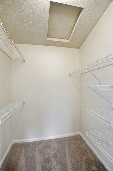 Building Photo - 8515 Island Pines Pl