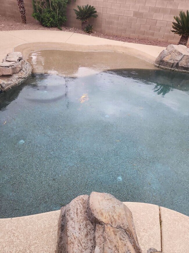 Building Photo - A Stunning 4 Bedroom Home with a Sparkling Pool