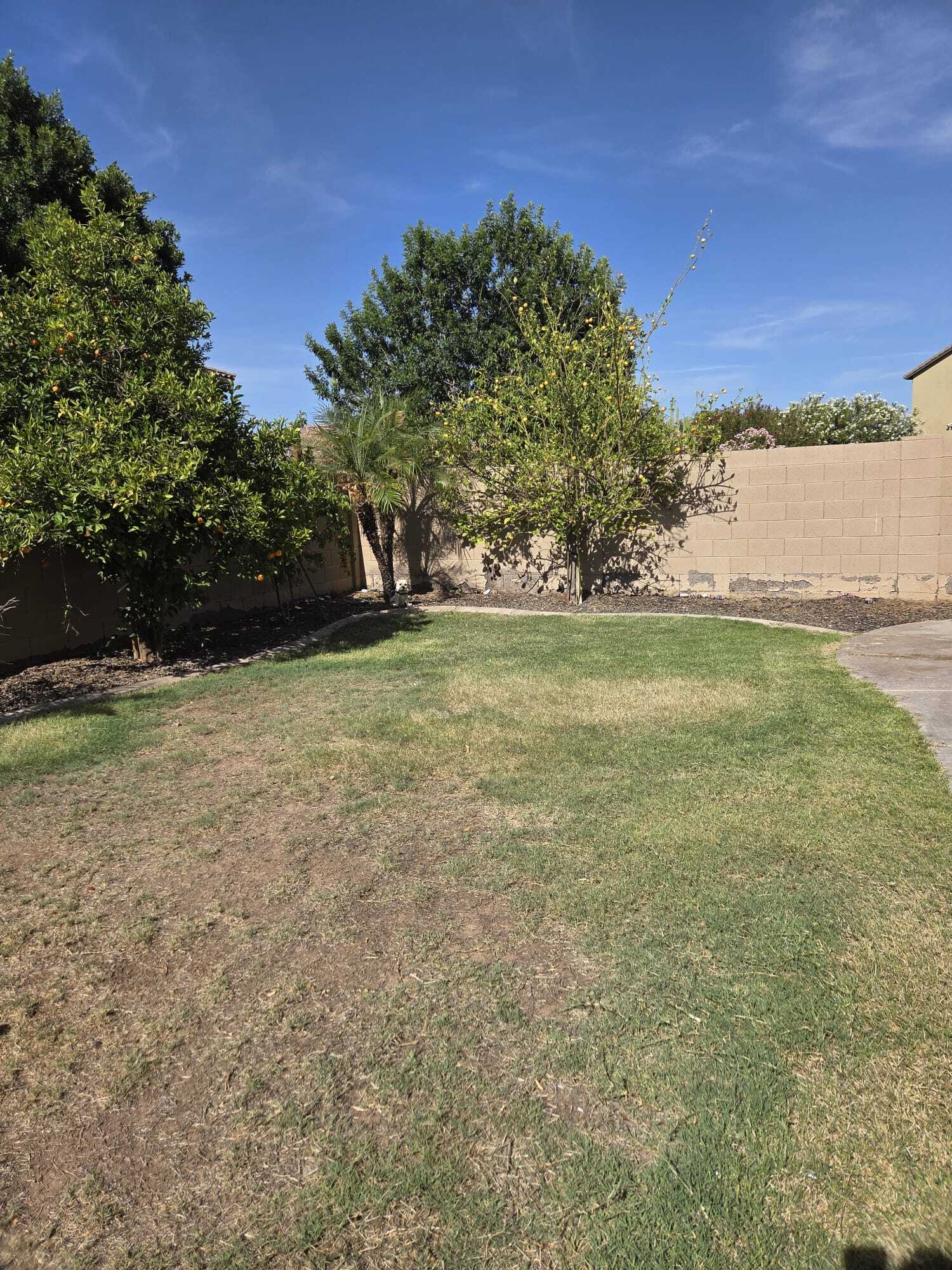 Building Photo - 3354 E Grand Canyon Dr
