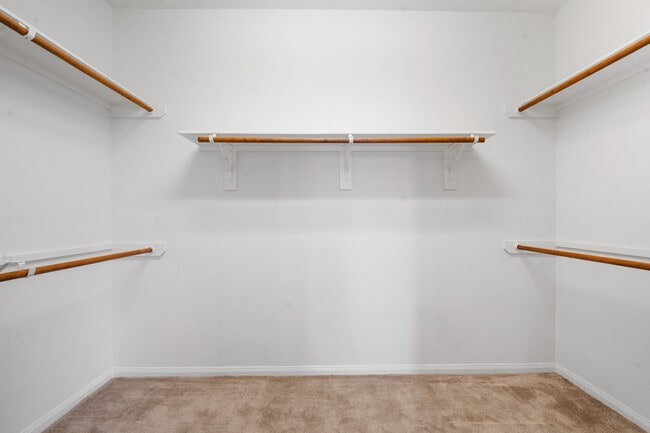 Building Photo - 20311 Towering Cypress Dr