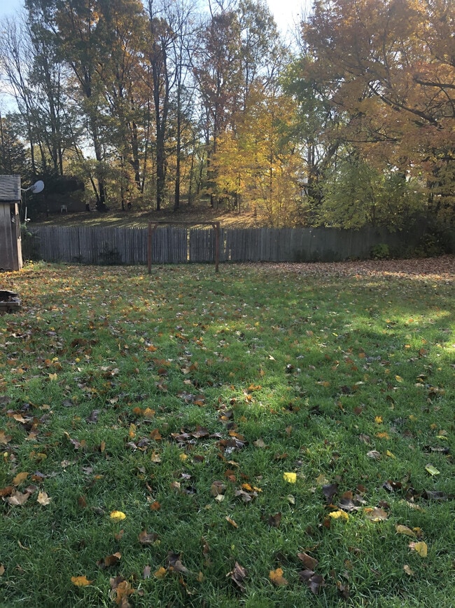 Building Photo - 419 Harley St