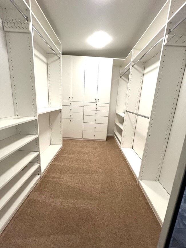 Building Photo - Freshly Renovated Gem with Incredible Floo...