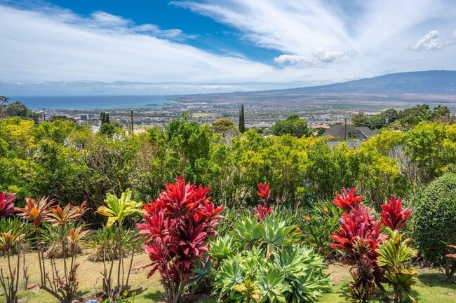 Building Photo - Beautiful Custom Built Home in Wailuku Heights, 2 Bed/3 Bath with Flex Room, Magnificent Ocean/Mo...