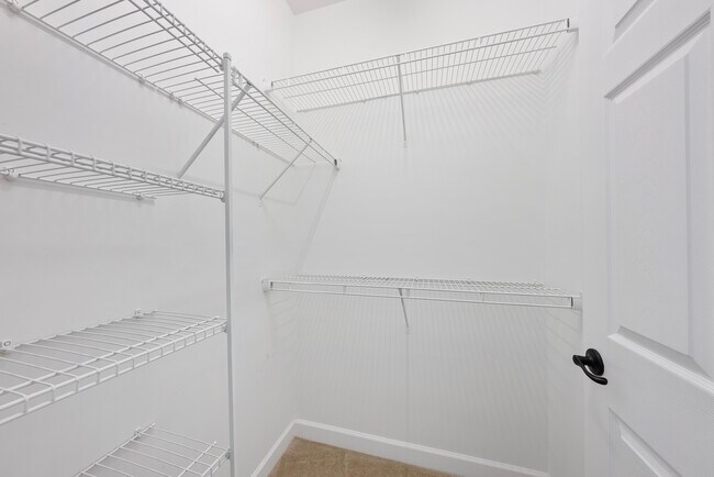 Building Photo - 1004 Crinoline Ln
