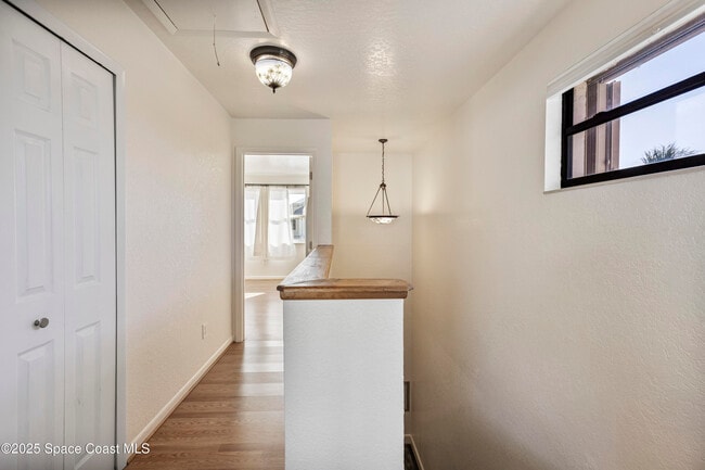 Building Photo - 142 Palmetto Ave