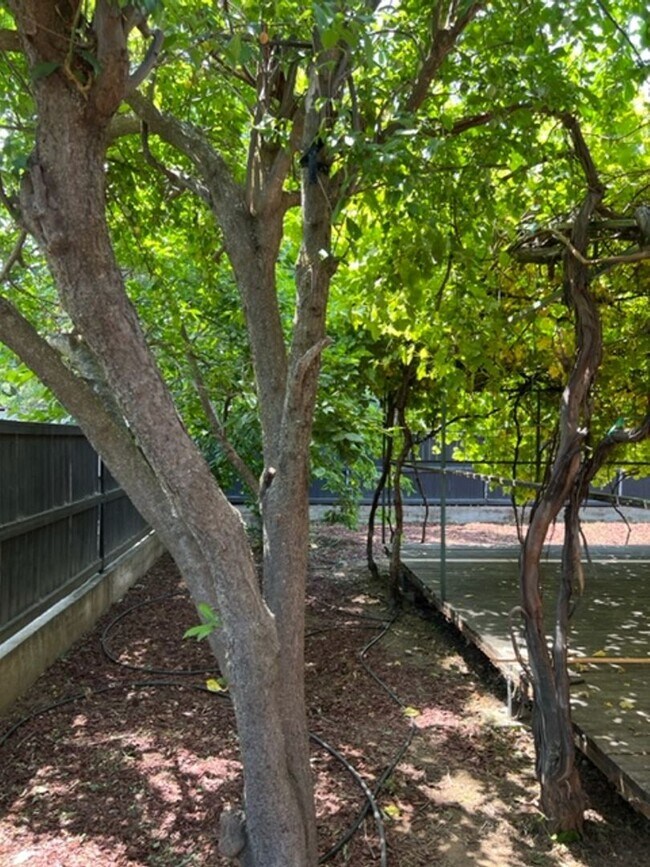 Building Photo - Beautiful Single Story home in Carmichael, 4+2, Large living area, 2 garages.