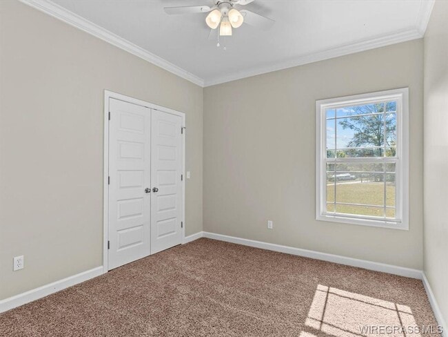 Building Photo - Available Now!