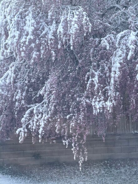 Building Photo - 9867 S Mumford Dr