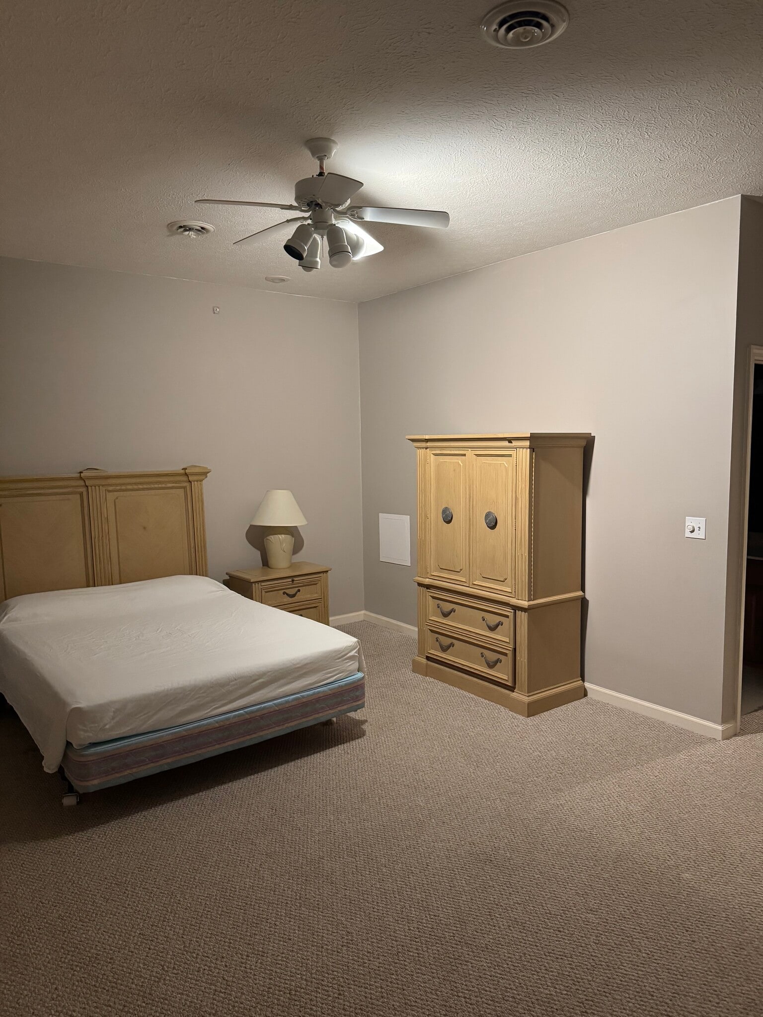 Third bedroom - 209 Aaron Smith Dr