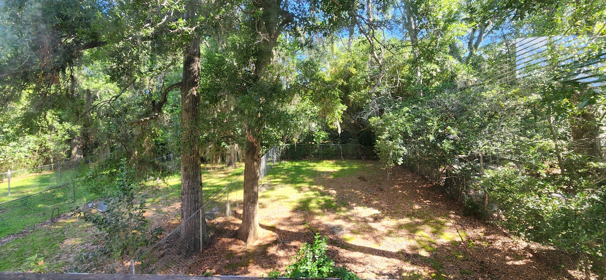Fenced Backyard - 240 Lake Ella Dr