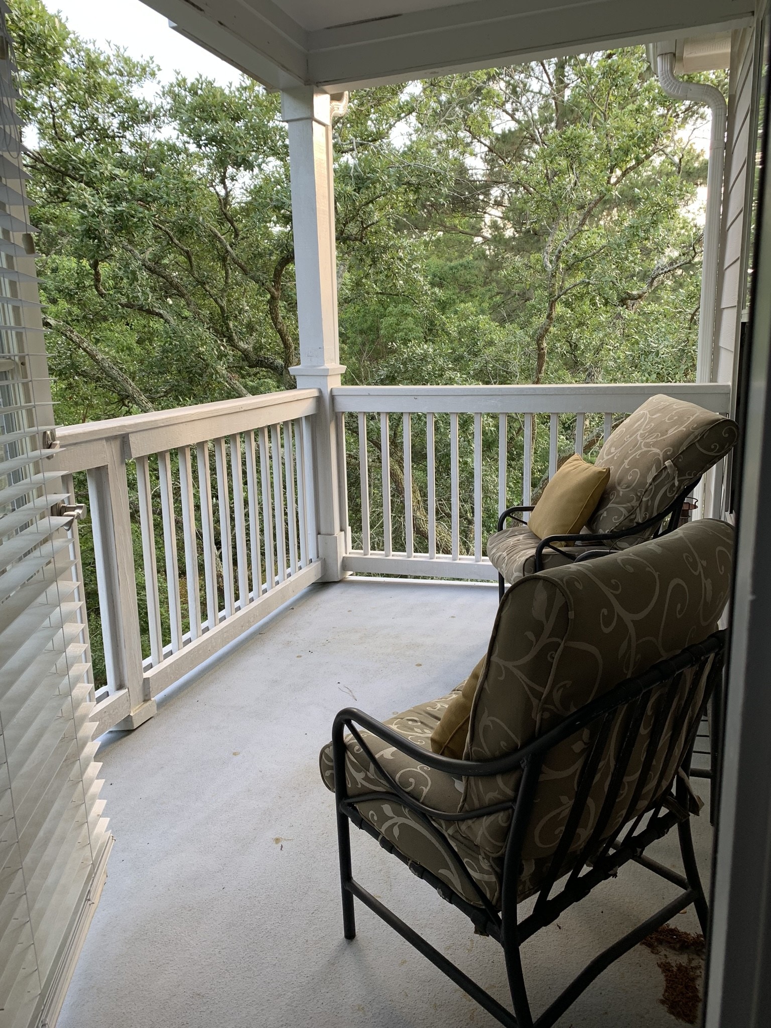 Large Balcony - 45 Sycamore Ave