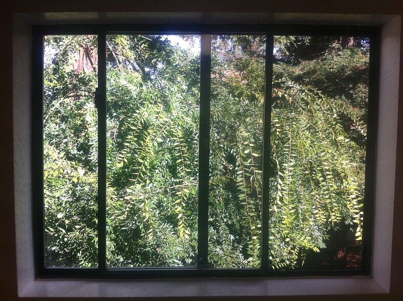 view from kitchen sink - 434 S Shepherd St