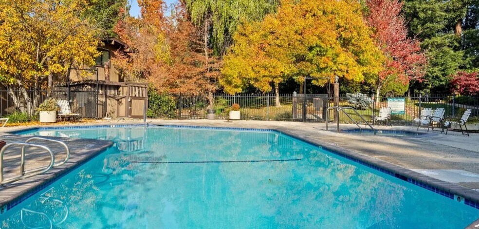 Pool - 911 Fulton Ave