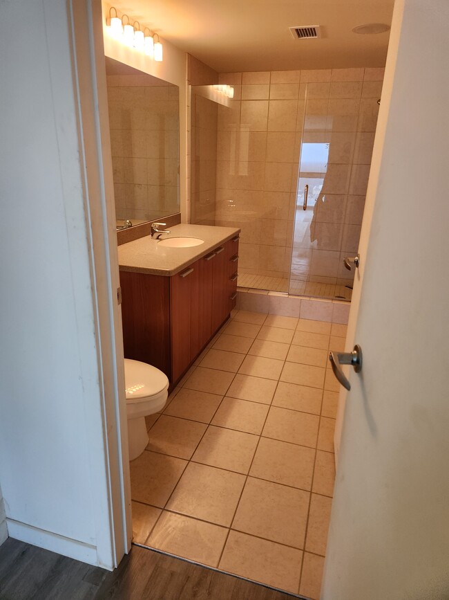 Master Bathroom - 432 S Washington Ave