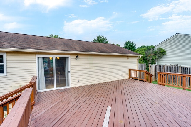 Backyard - 5471 Braddock Ridge Dr