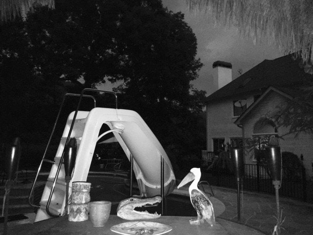 Building Photo - 115 Georgian Manor Ct