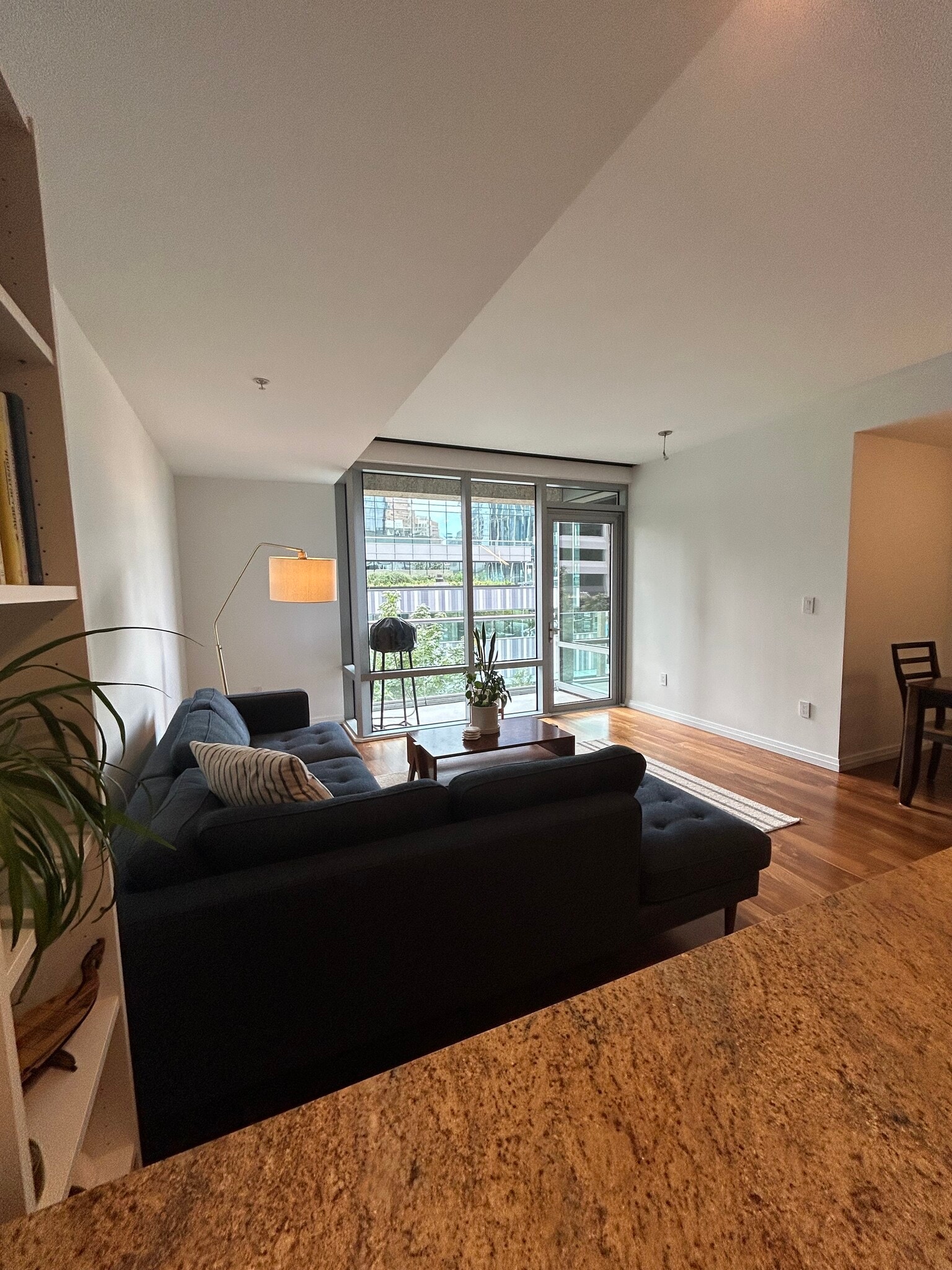Living Space View 2 - 10700 NE 4th St