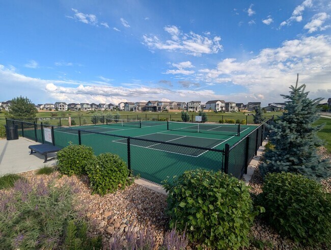 Building Photo - BRAND NEW HOME FOR RENT IN TIMNATH TRAILSI...