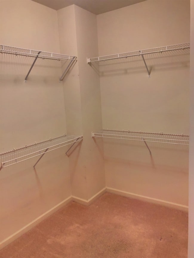 Building Photo - 2907 Blossom Park Drive Southeast