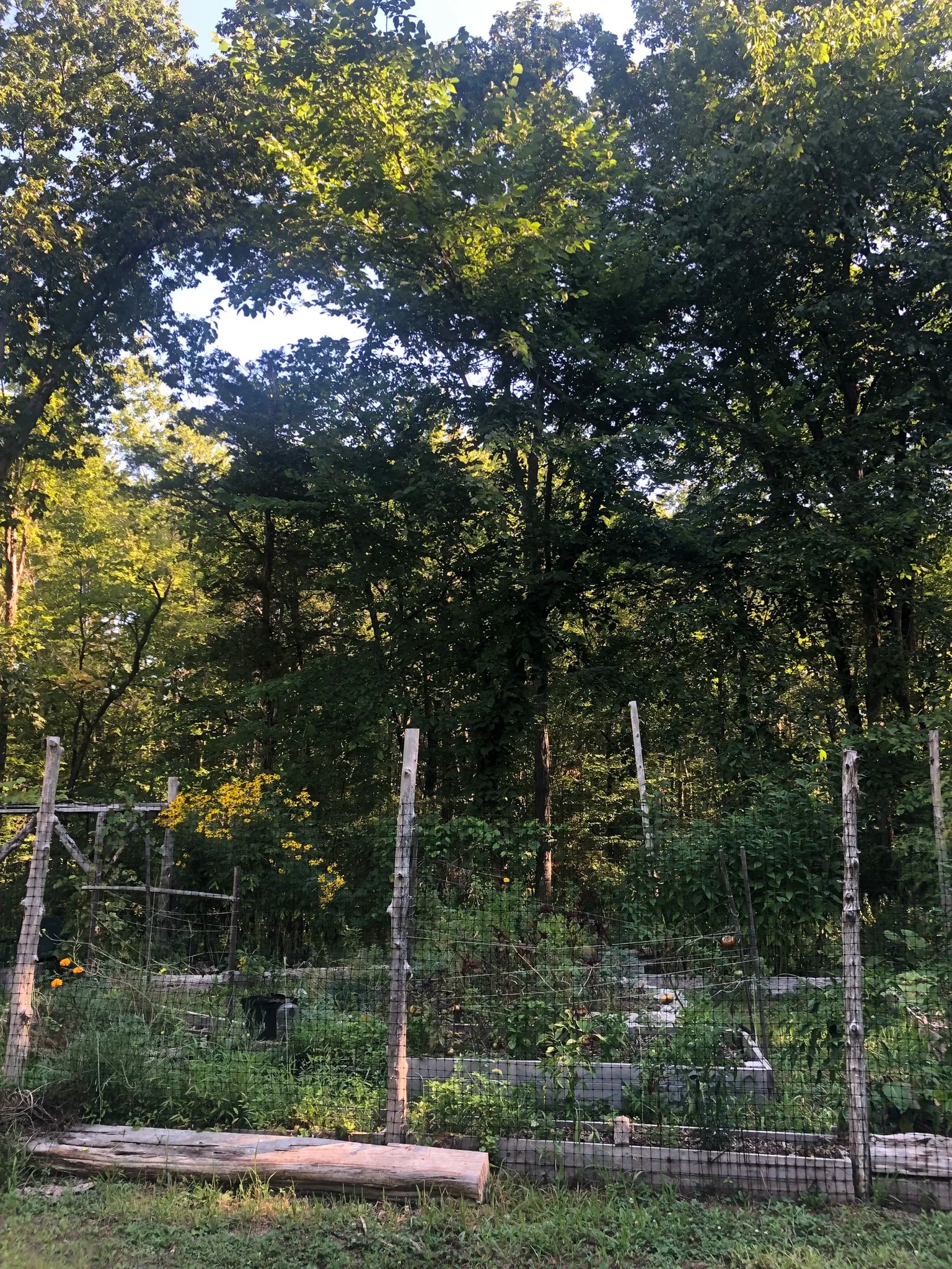 your garden! - 308 Old Kings Hwy
